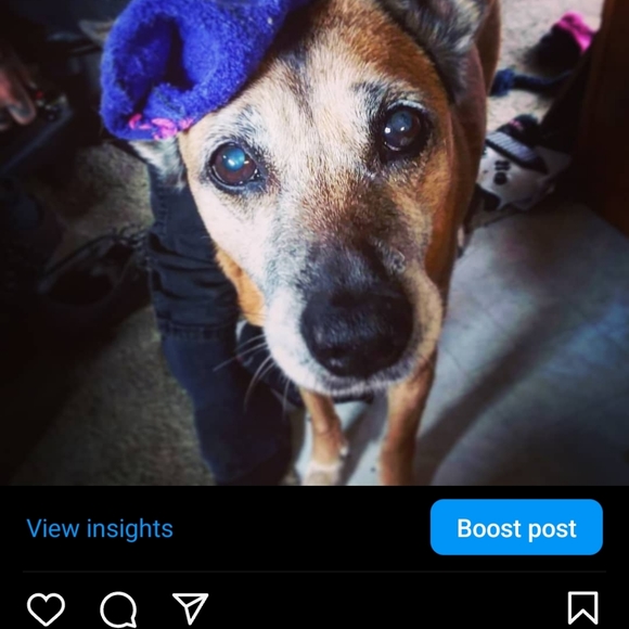 Meet your Posher, Haeden - Picture 8 of 10